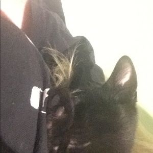 Meet your Posher, Abby